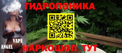 гидра Ярцево