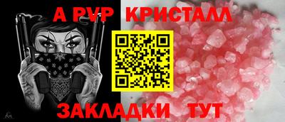 ALPHA PVP Ярославль